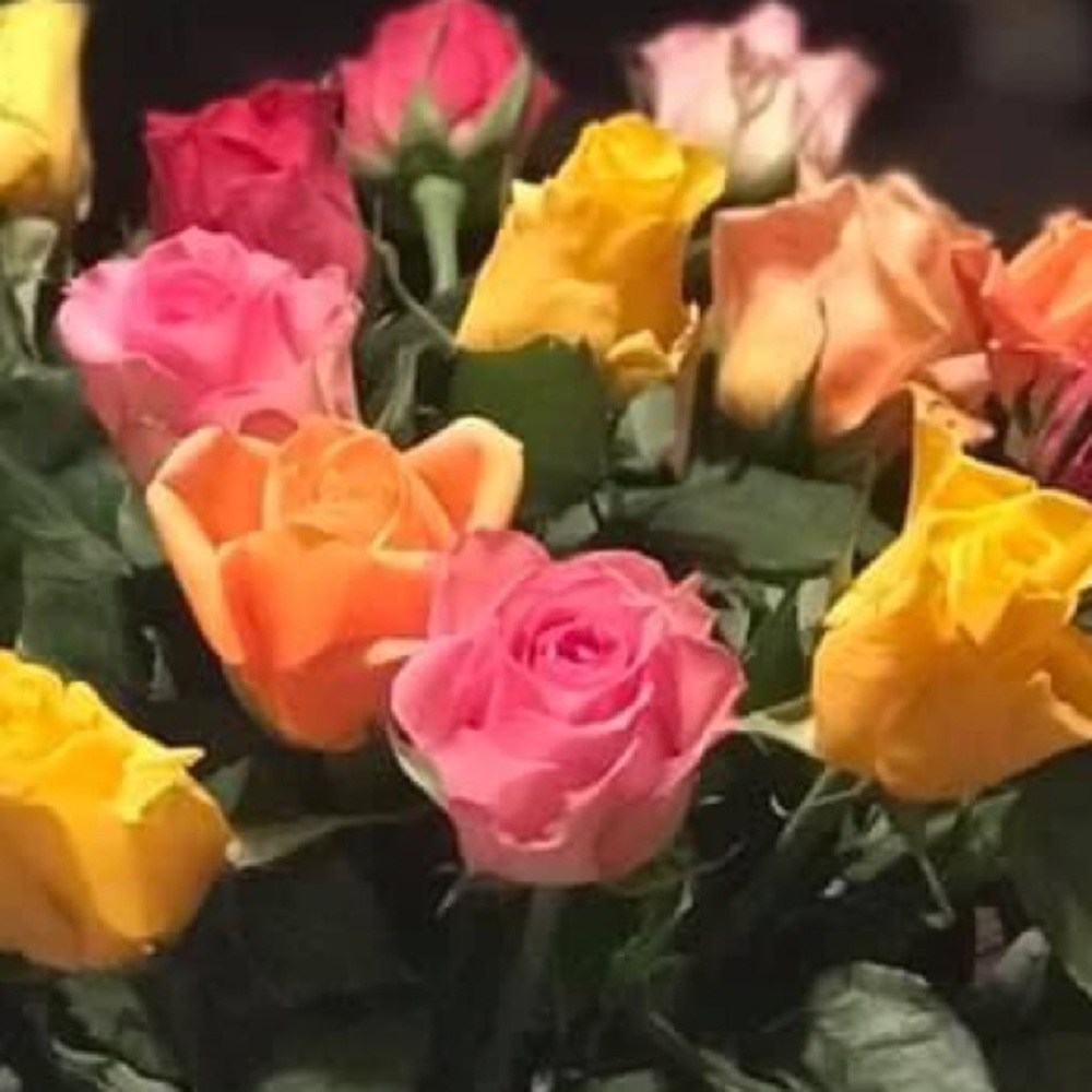 Meet your Posher, Posh